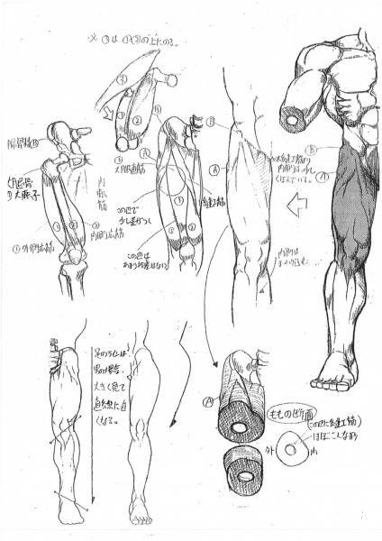 <br />
        Почему в играх Capcom такие герои — разработчики показали рисунки по анатомии 20-летней давности<br />
      
