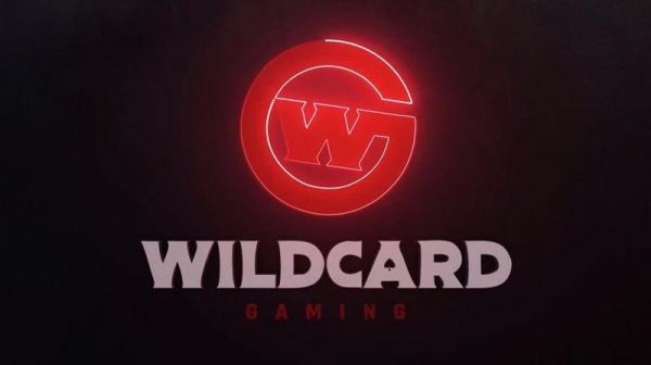 [PUBG] Nbs и Woo1y покинули состав Wildcard Gaming