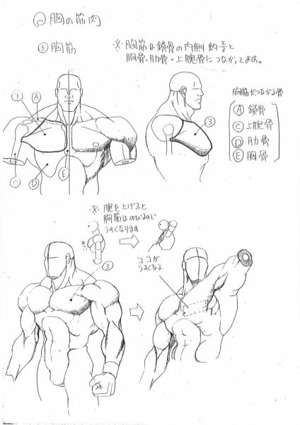 <br />
        Почему в играх Capcom такие герои — разработчики показали рисунки по анатомии 20-летней давности<br />
      